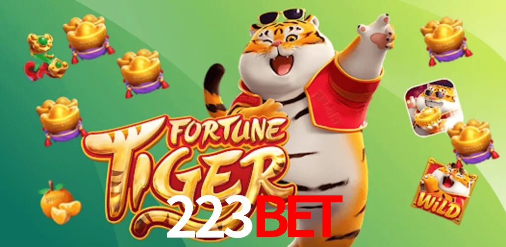 Experiência VIP 223bet